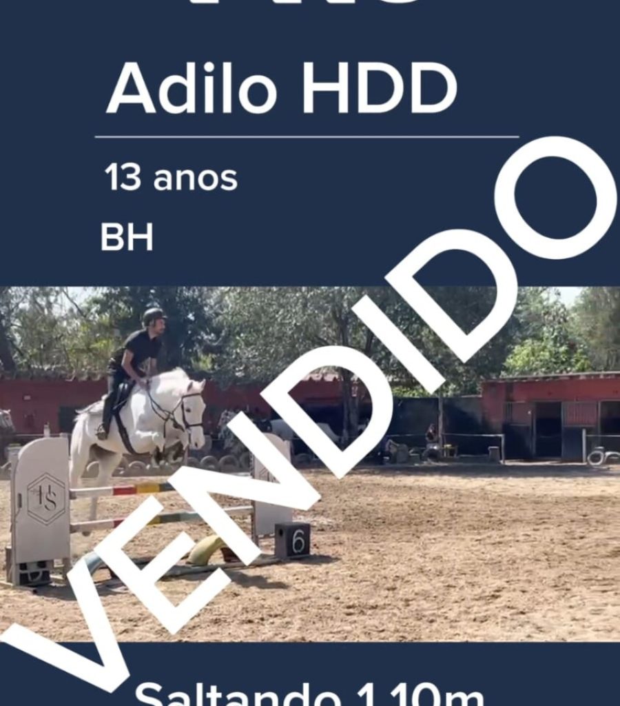 ADILO