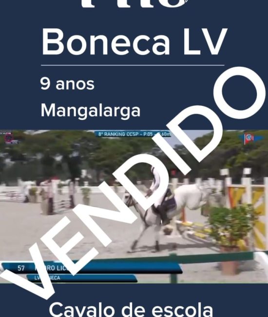 BONECA
