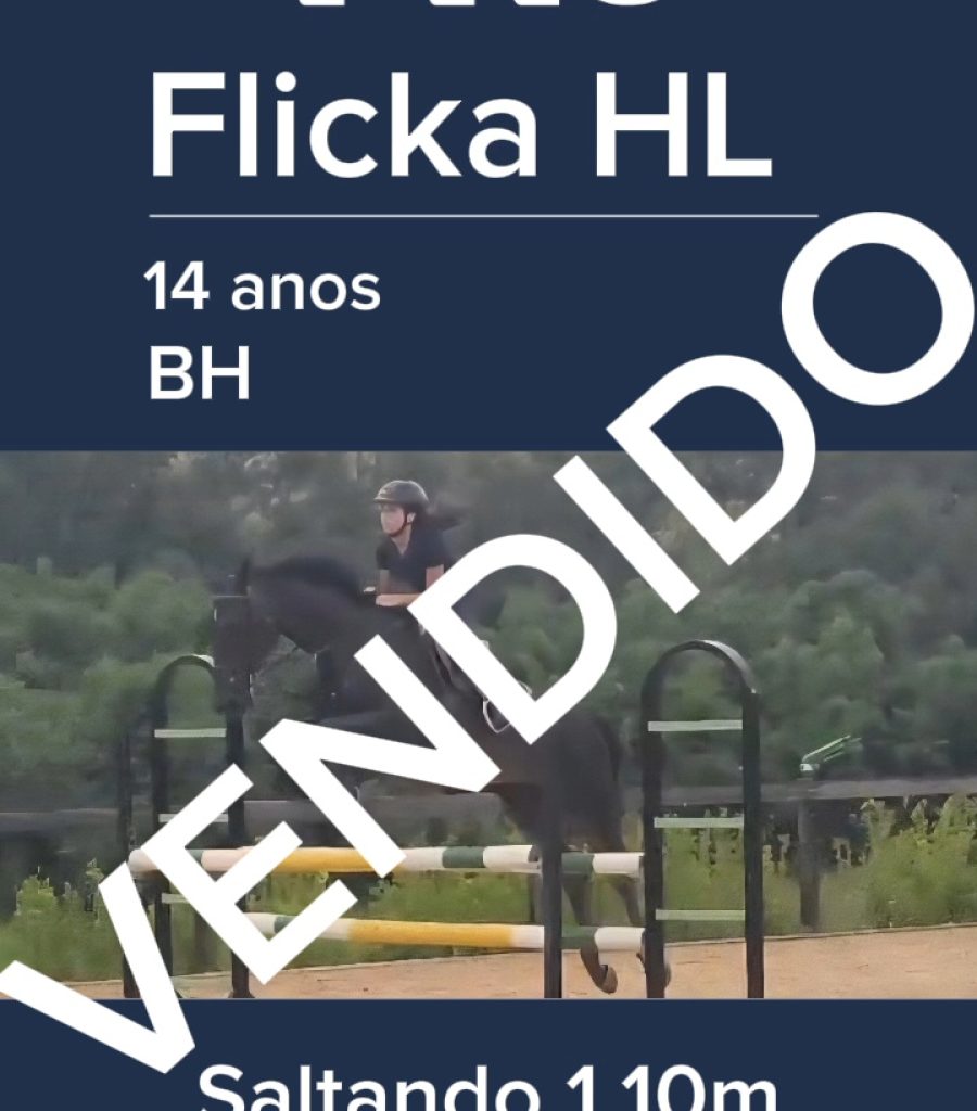 FLICKA