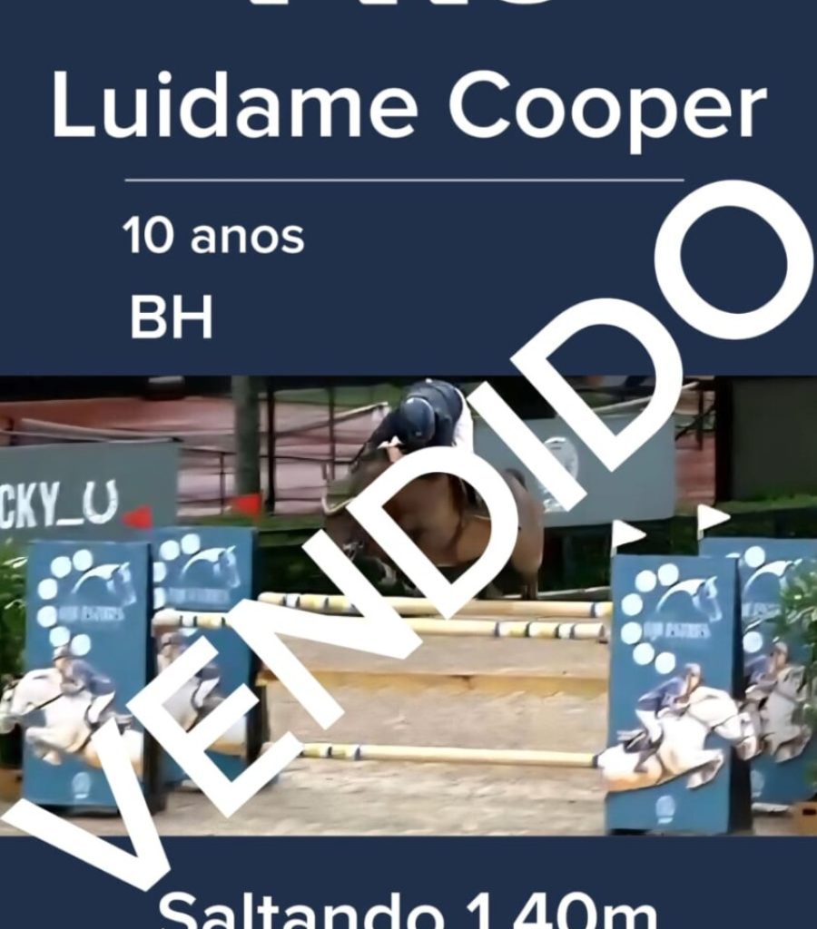 LUIDAME