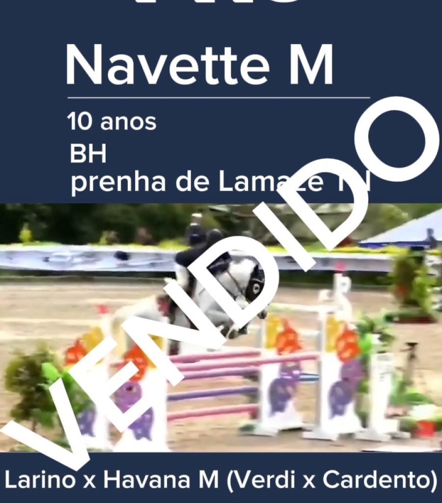 NAVETTE
