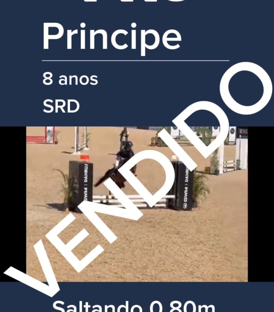 PRINCIPE