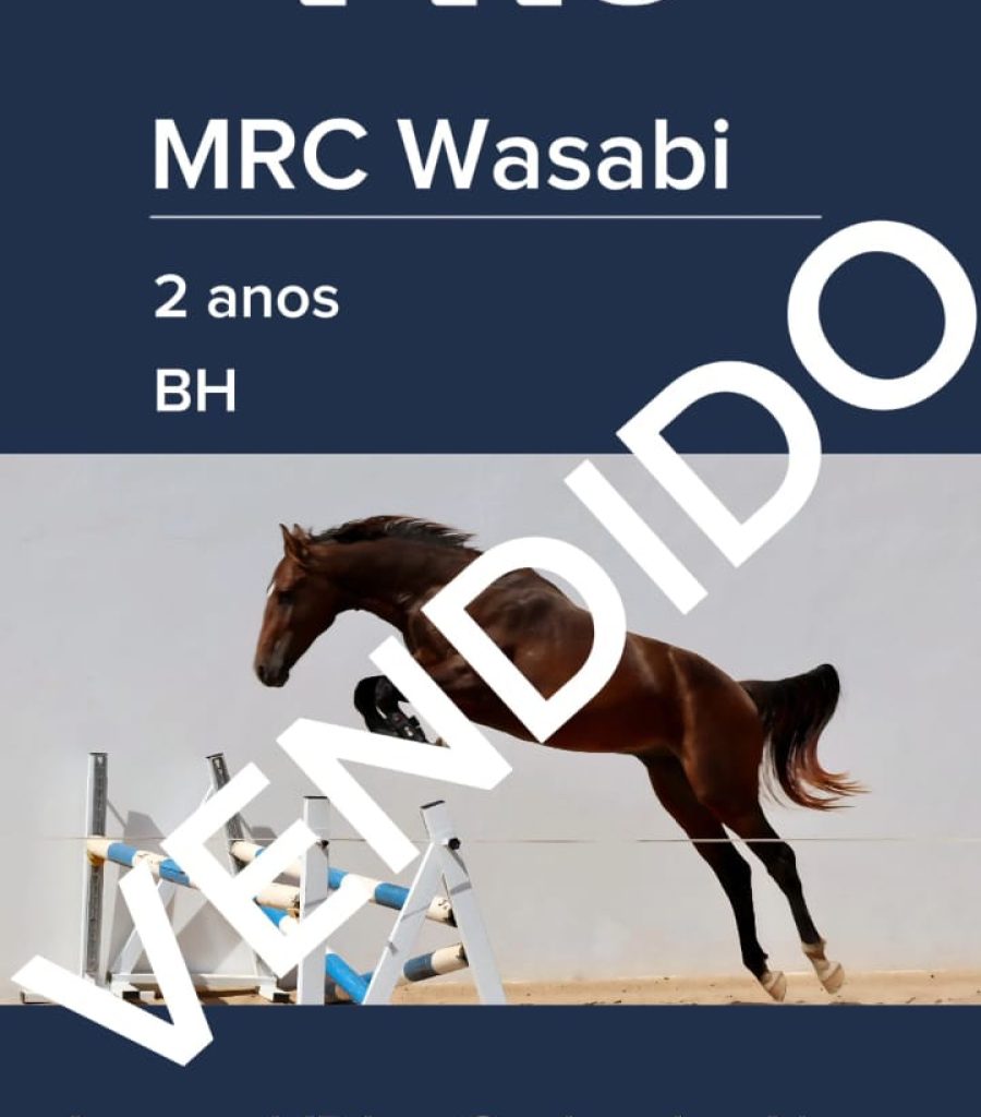 WASABI
