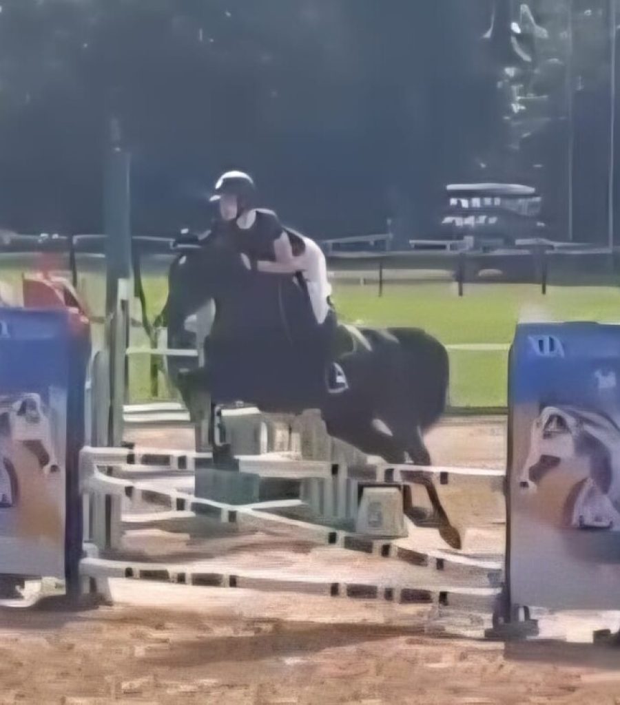 bela-foto1