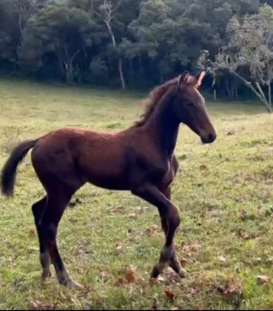 carrerafoto1-1