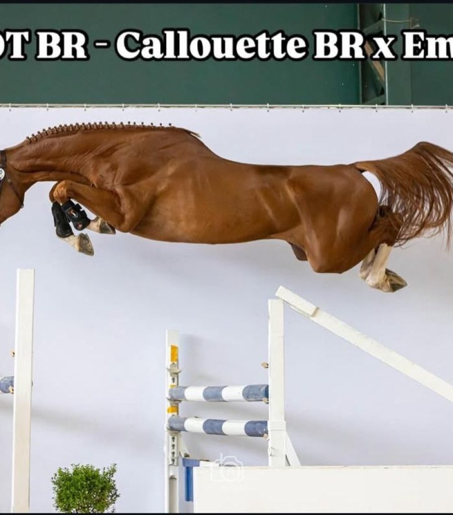 ellot
