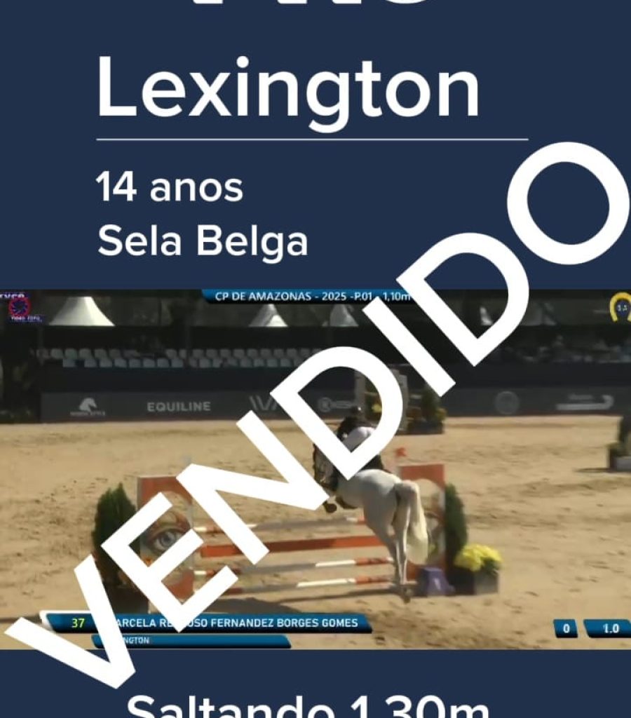 lexington