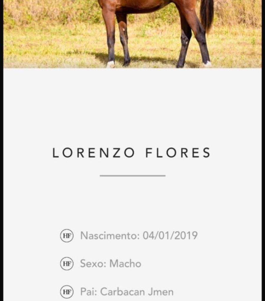 lorenzo