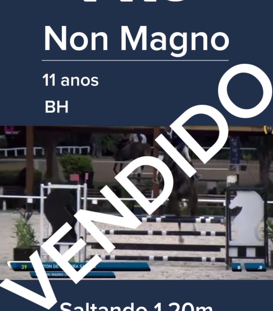 non magno