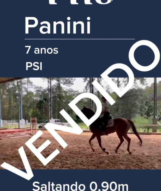 panini