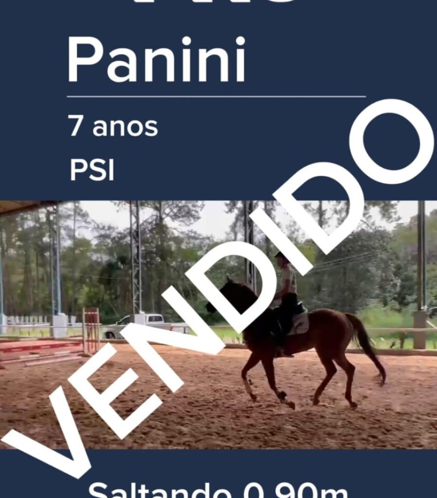 panini