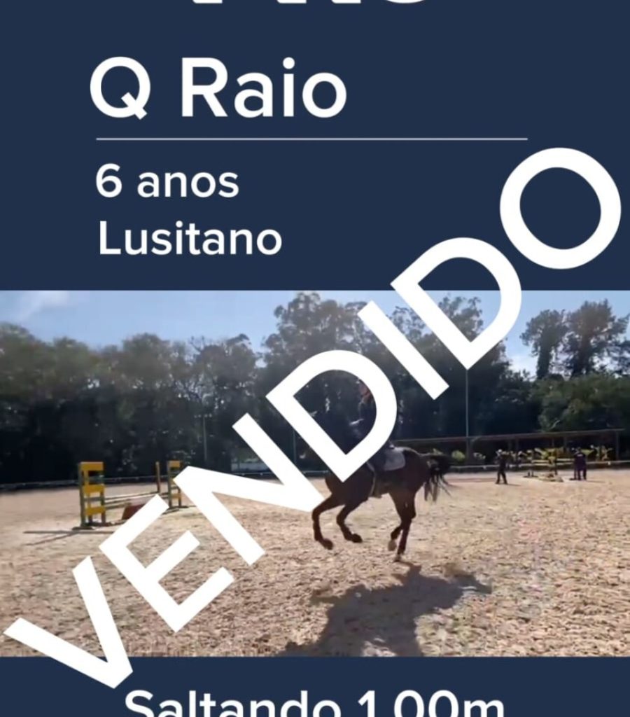 q raio