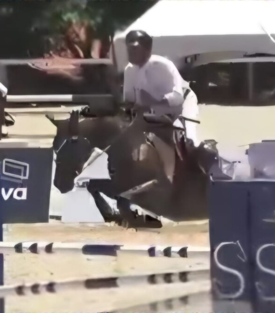 quintana-foto1