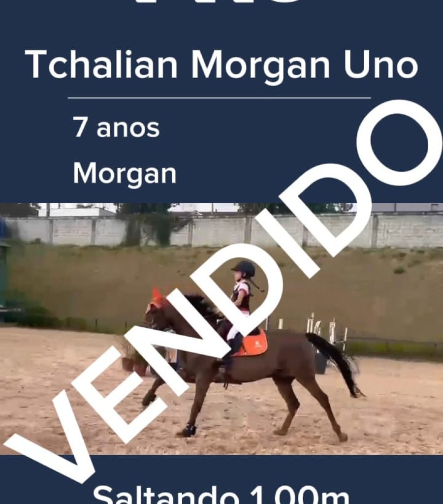 uno