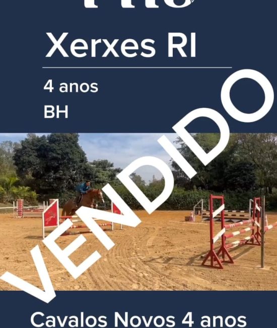 xerxes